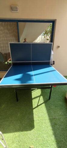 Table-Tennis-4