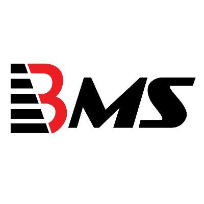BMS-Auditing