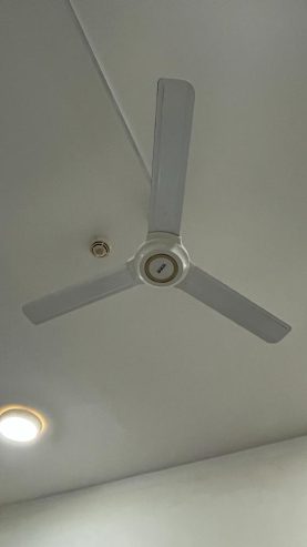 Ceiling-Fan-1